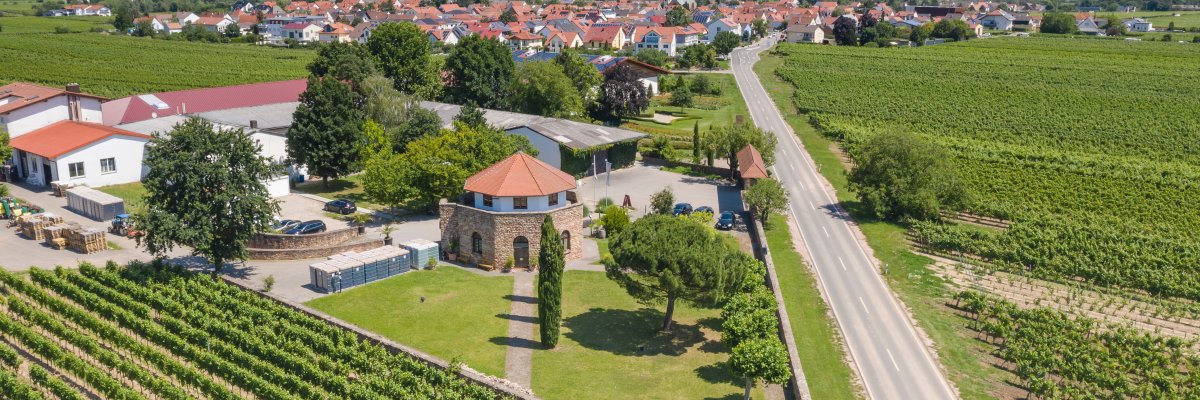 Ellerstadt