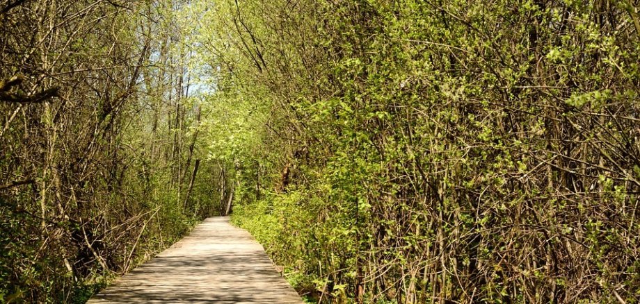 Waldwoche